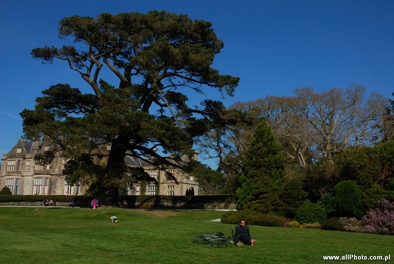 Click to view full size image